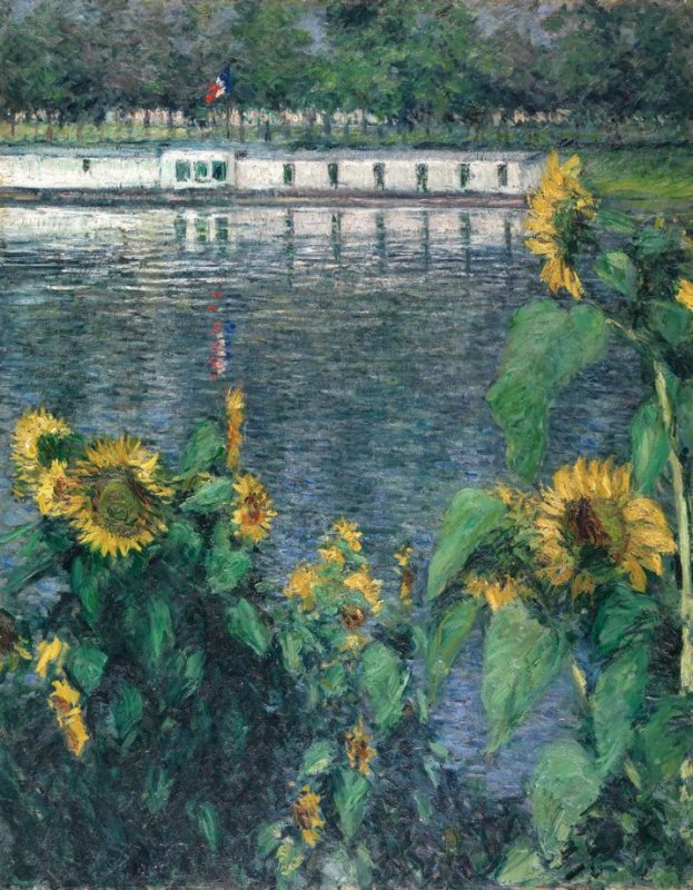 Sunflowers along the Seine Image