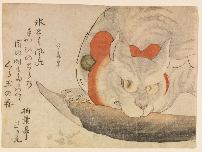 A Cat with a Red Silk Ribbon Eating a Piece of Fish Image