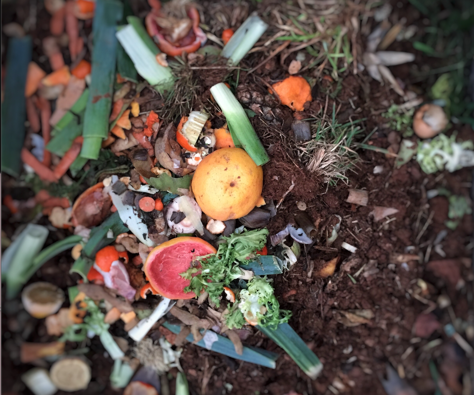 The Alchemy of Composting Image
