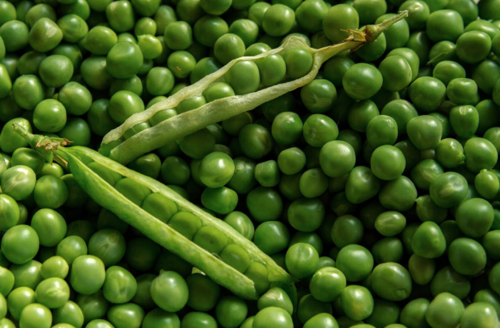 How to Grow Peas Image